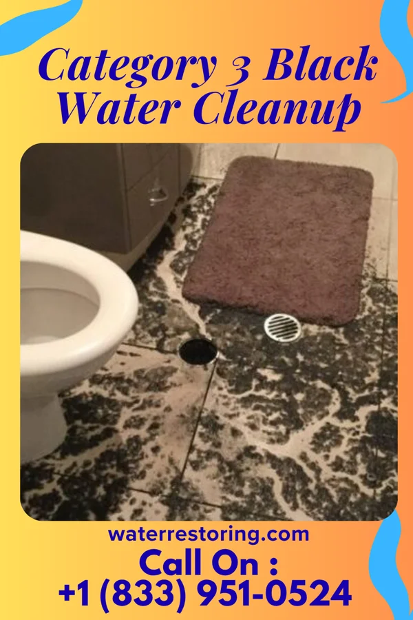 Category 3 Black Water Cleanup in Carney, MI