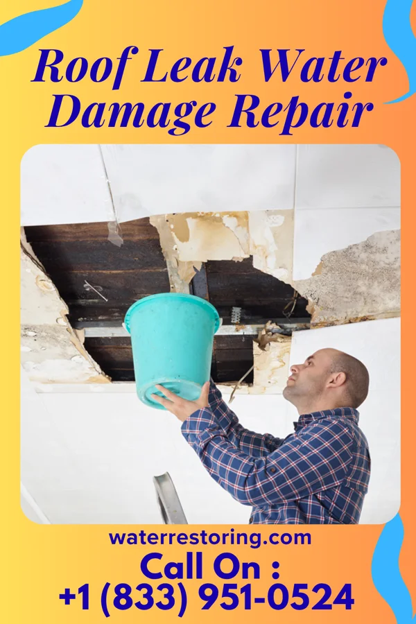 Roof Leak Water Damage Repair in Carney, MI